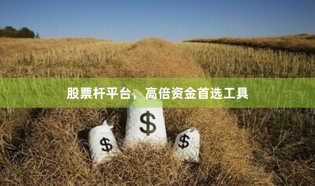 股票杆平台，高倍资金首选工具