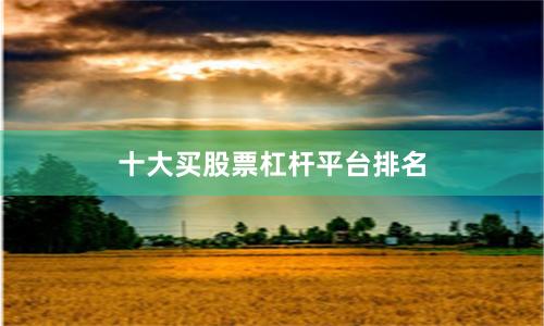 十大买股票杠杆平台排名