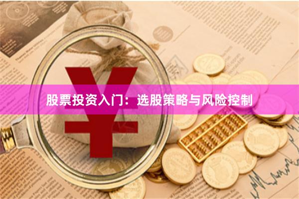 股票投资入门：选股策略与风险控制